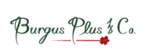 Burgus Plus