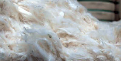 Suvin Gold Cotton.